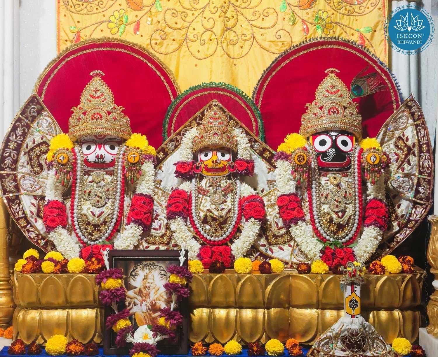 Sringar Darshan photo 4 of 12 — 12 January 2026