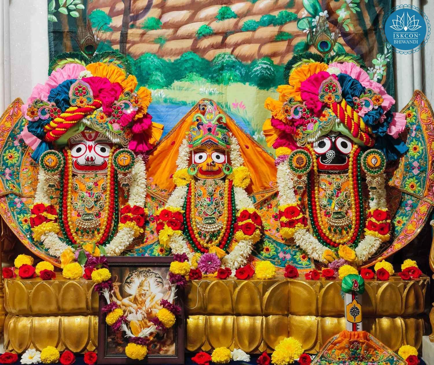 Sringar Darshan photo 4 of 12 — 13 January 2026