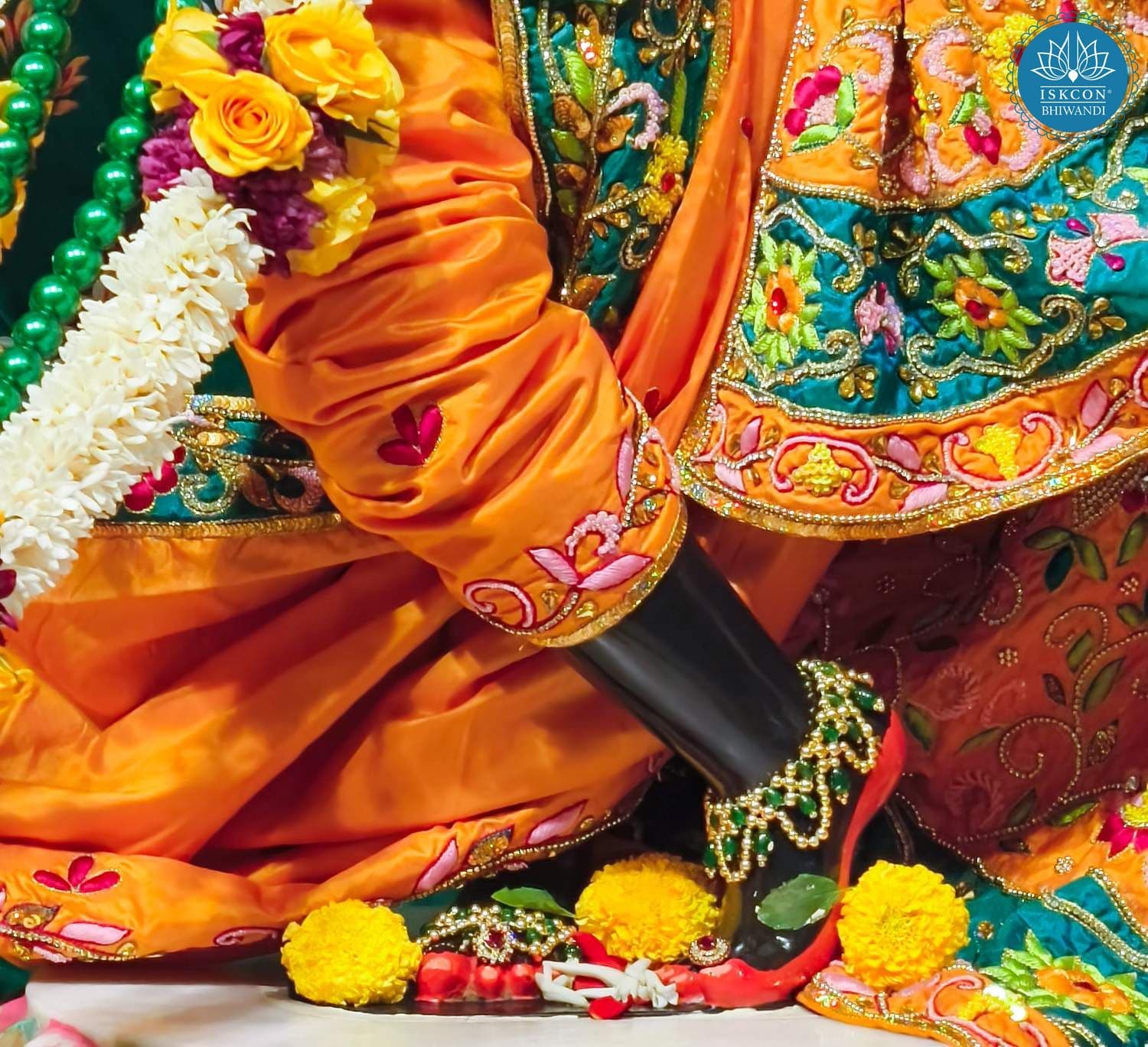 Sringar Darshan photo 11 of 12 — 13 January 2026