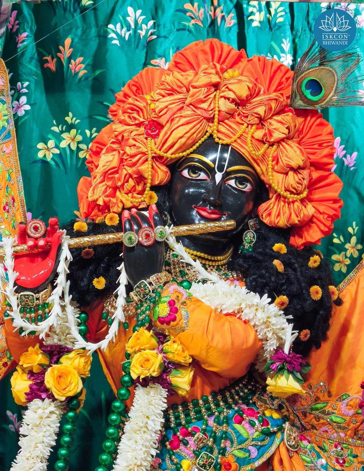 Sringar Darshan photo 9 of 12 — 13 January 2026