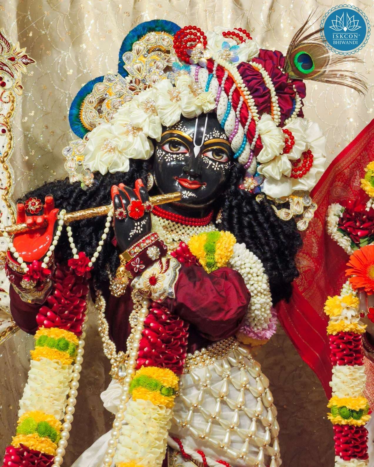 Sringar Darshan photo 10 of 12 — 14 January 2026