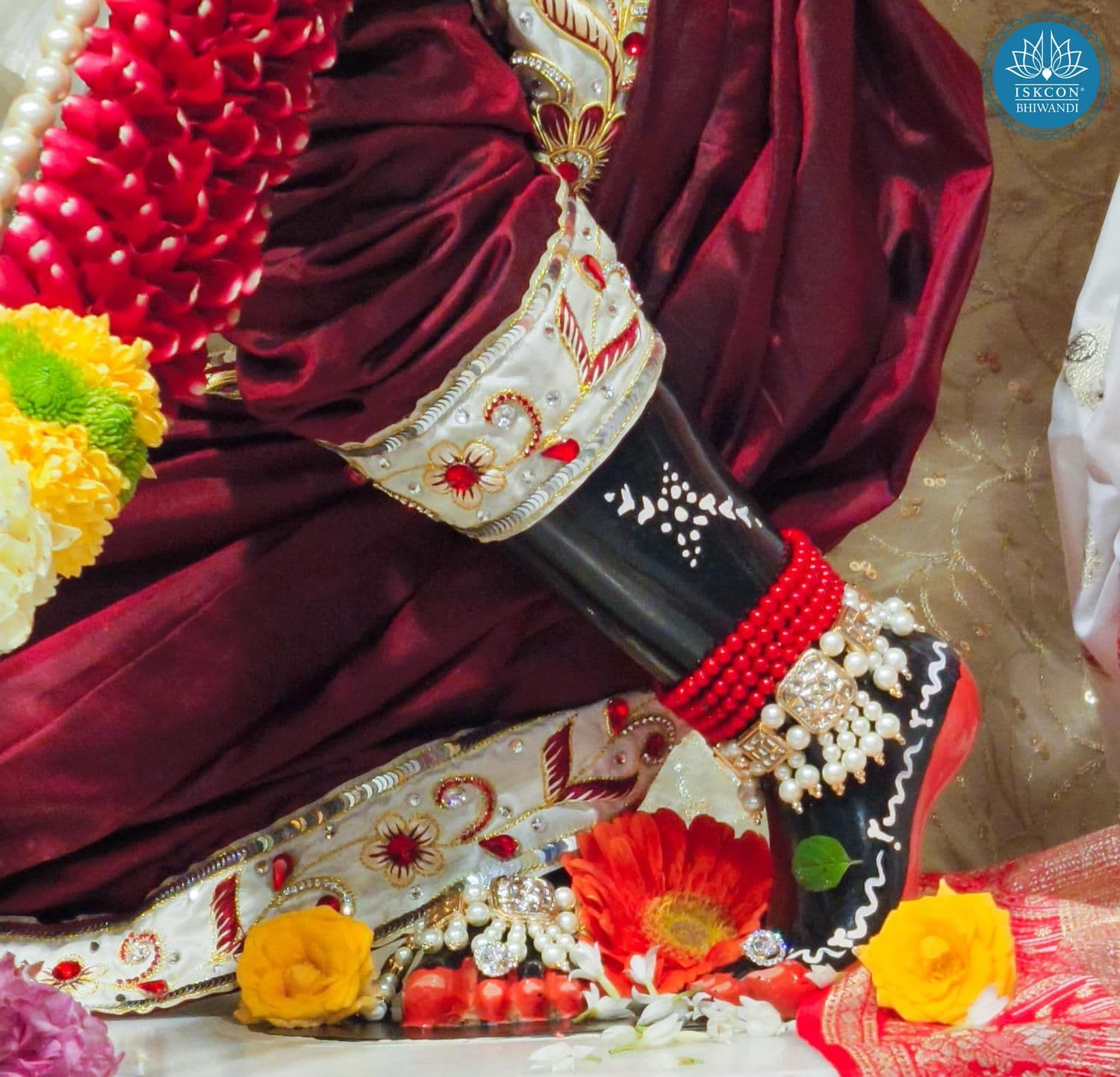 Sringar Darshan photo 11 of 12 — 14 January 2026