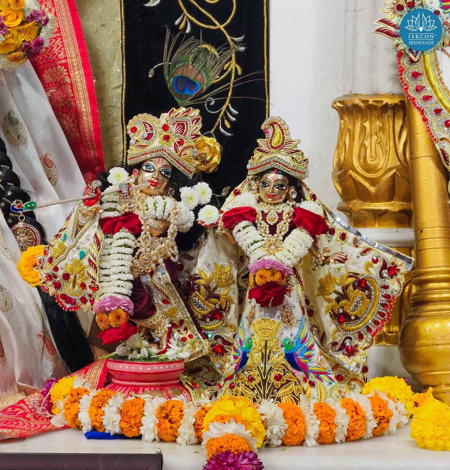 Sringar Darshan photo 9 of 12 — 14 January 2026