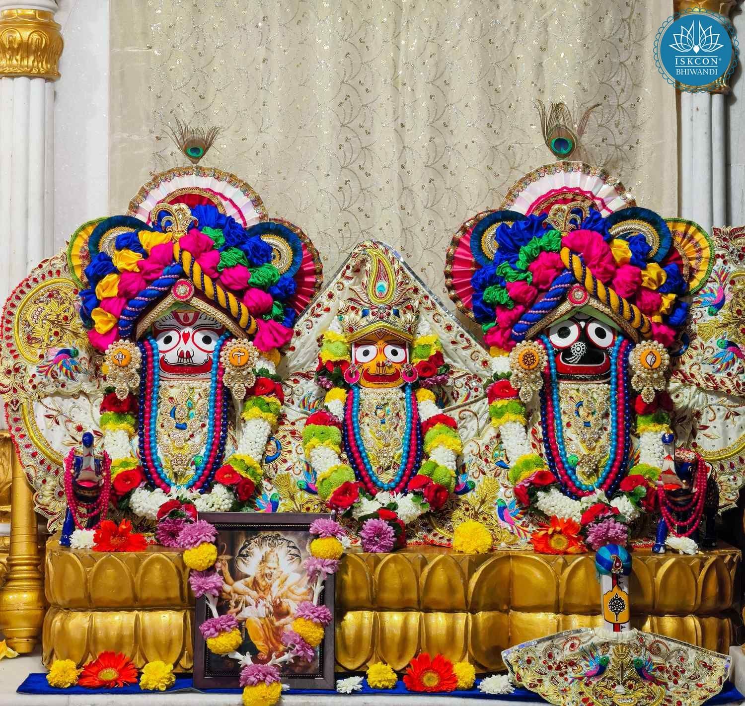 Sringar Darshan photo 2 of 12 — 14 January 2026