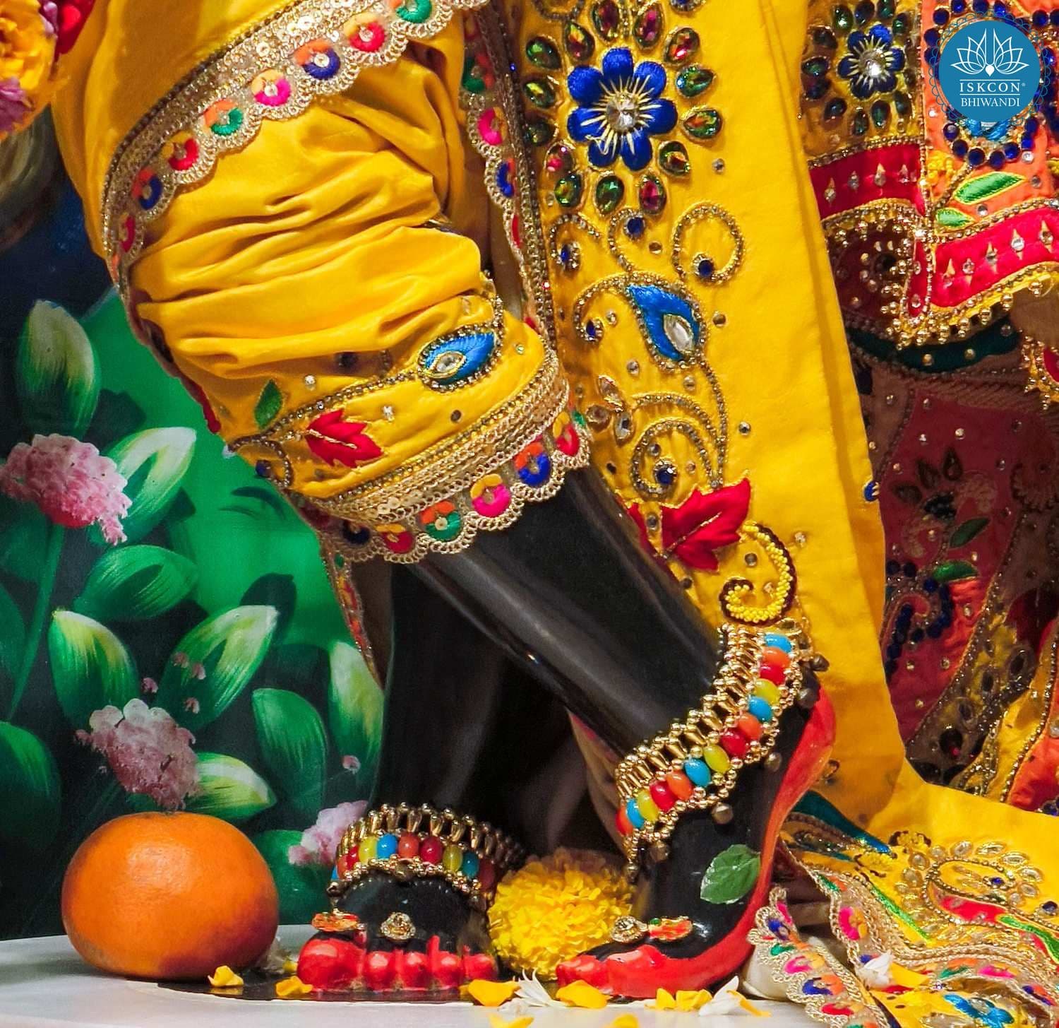Sringar Darshan photo 9 of 12 — 15 January 2026