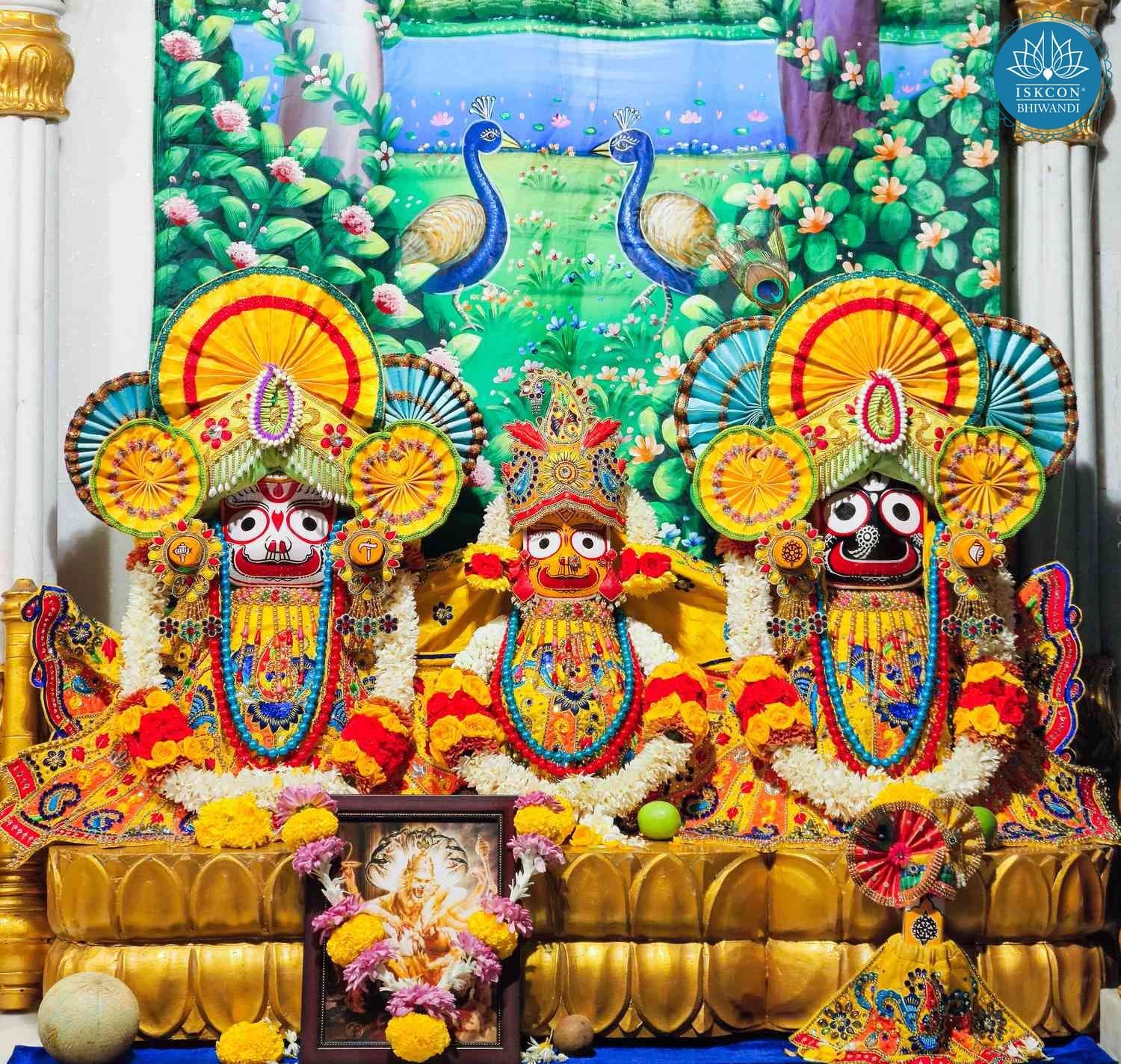 Sringar Darshan photo 2 of 12 — 15 January 2026