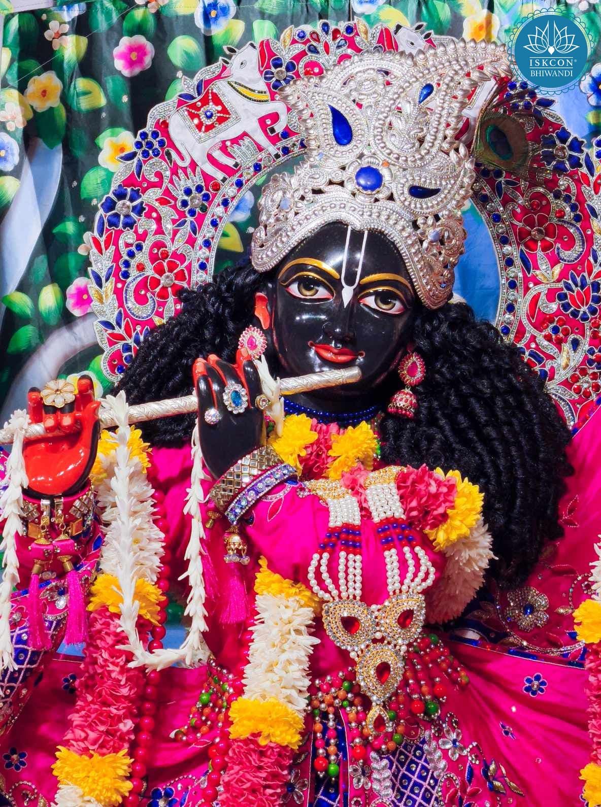 Sringar Darshan photo 12 of 12 — 16 January 2026