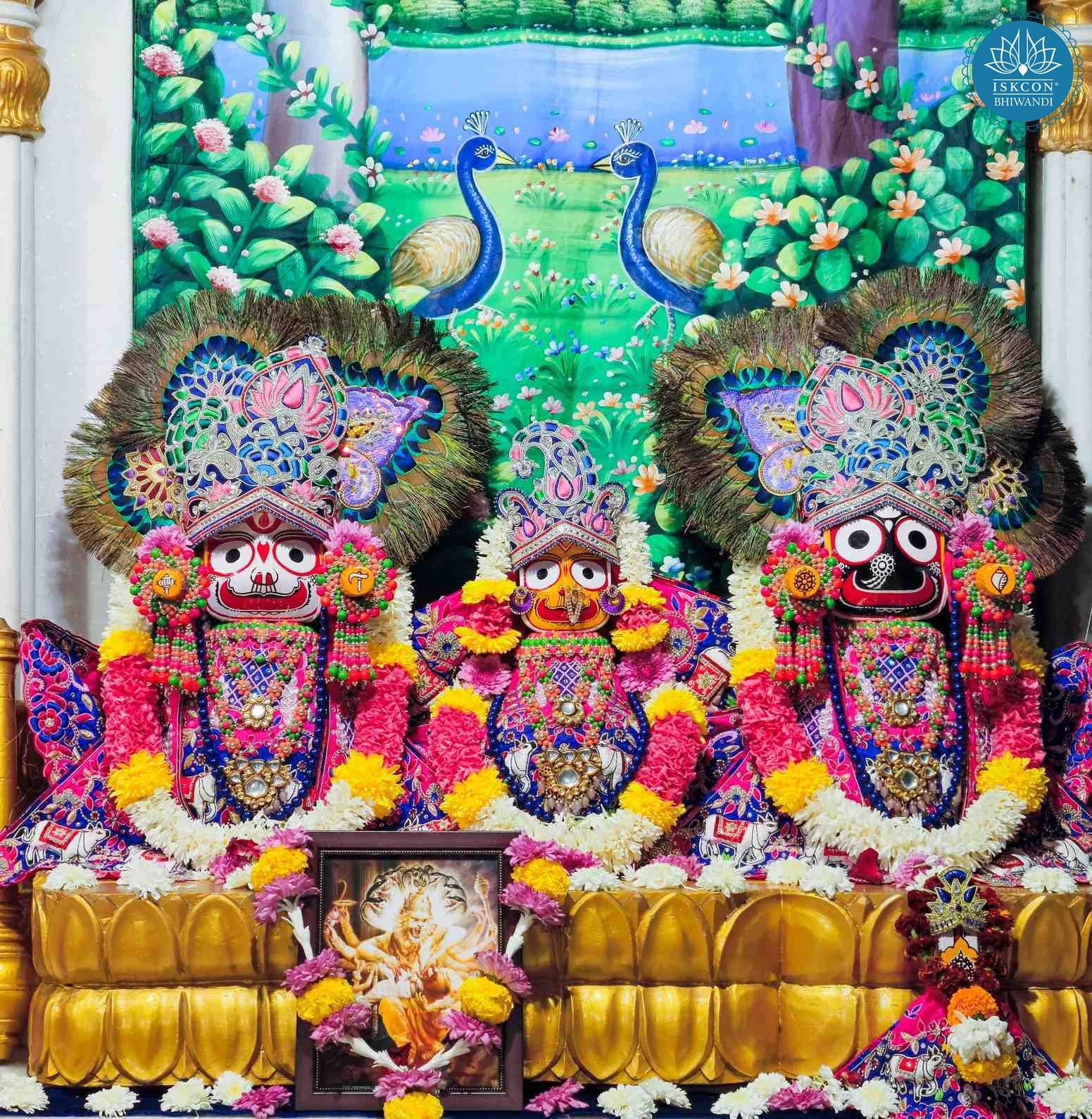 Sringar Darshan photo 2 of 12 — 16 January 2026
