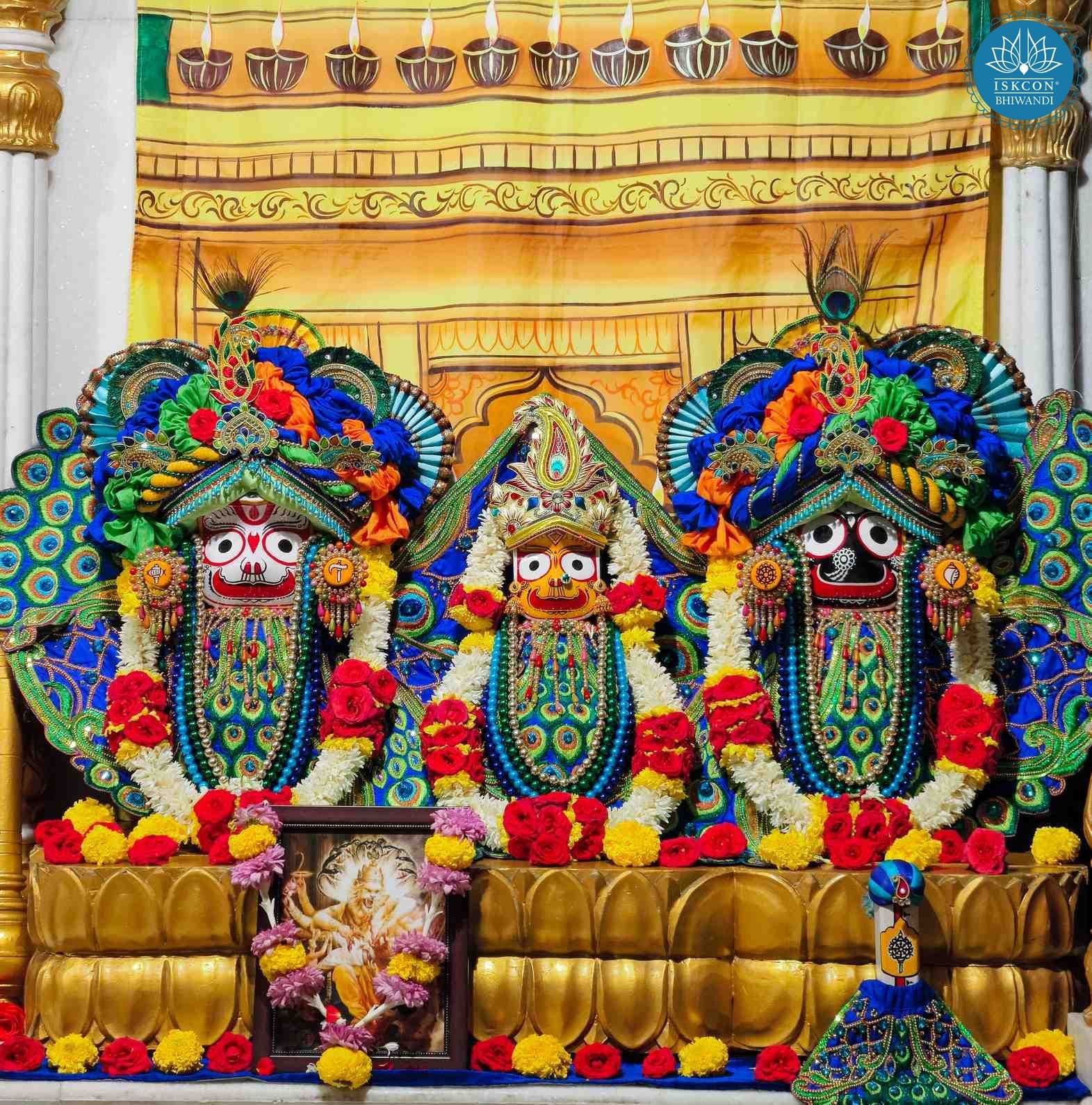 Sringar Darshan photo 4 of 12 — 17 January 2026