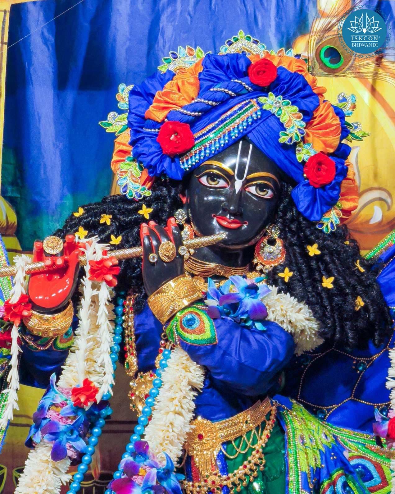 Sringar Darshan photo 11 of 12 — 17 January 2026