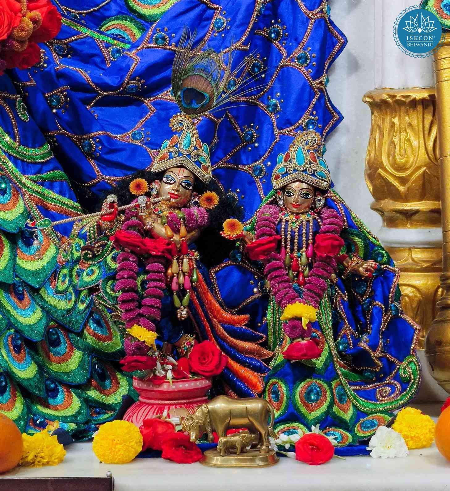 Sringar Darshan photo 10 of 12 — 17 January 2026