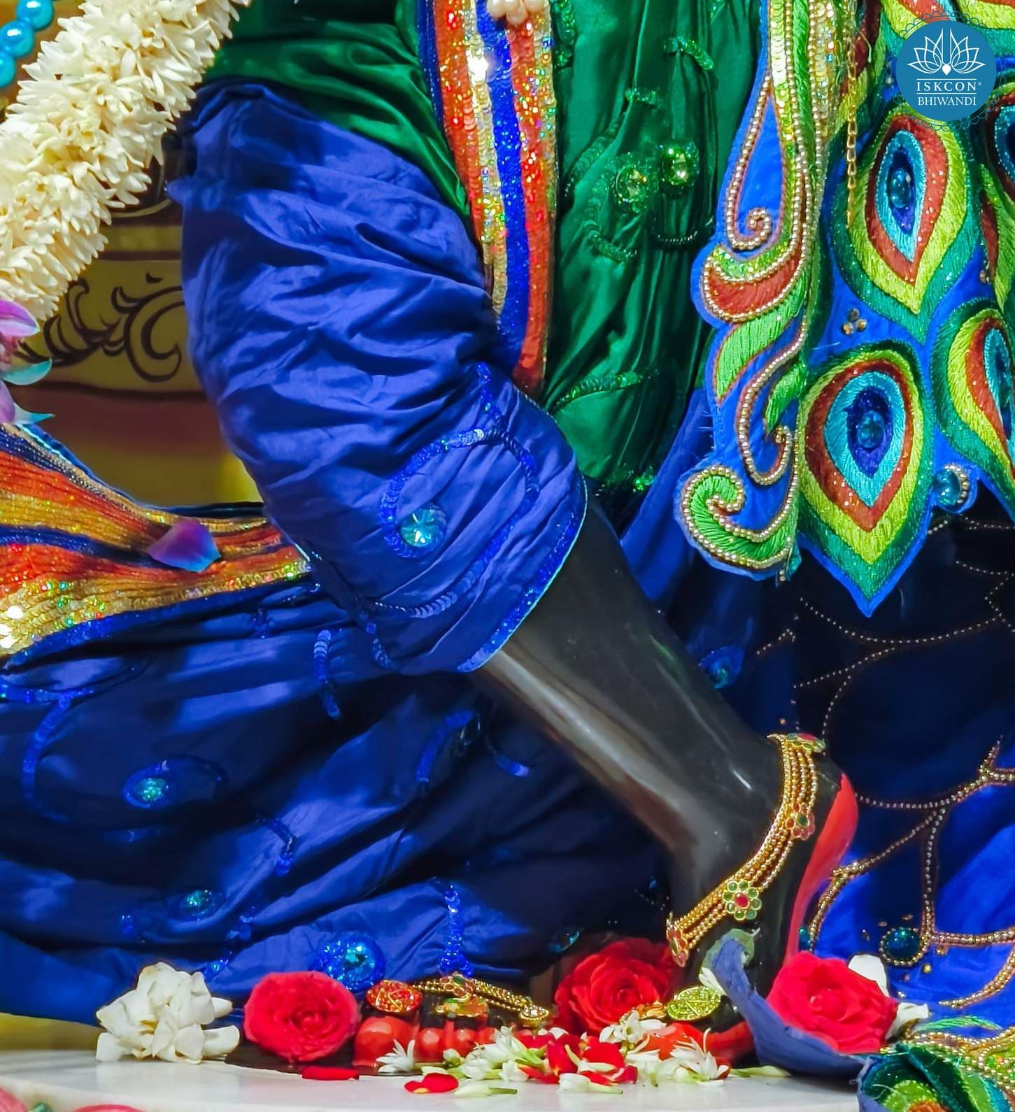 Sringar Darshan photo 3 of 12 — 17 January 2026