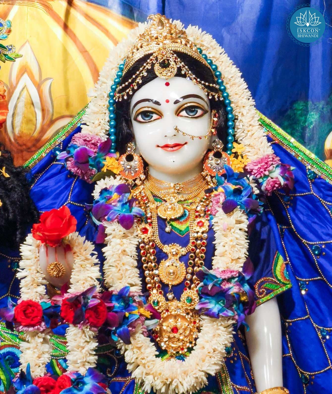 Sringar Darshan photo 12 of 12 — 17 January 2026