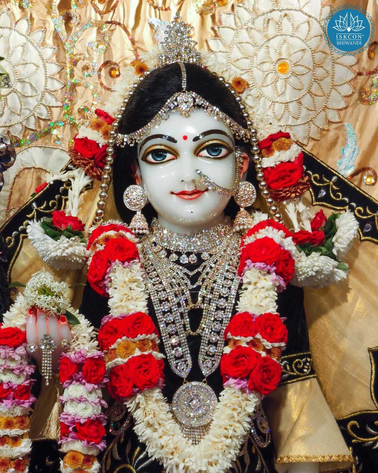 Sringar Darshan photo 12 of 12 — 18 January 2026
