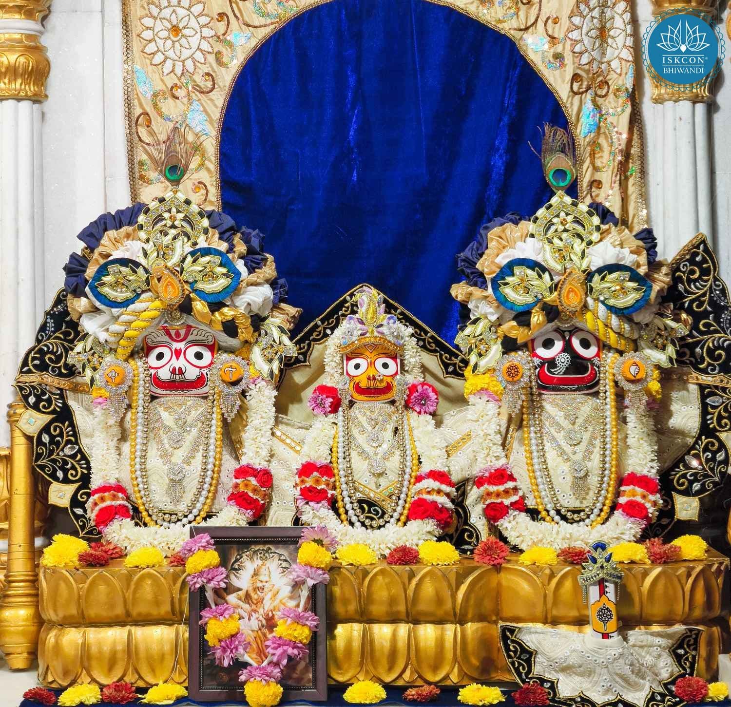 Sringar Darshan photo 3 of 12 — 18 January 2026
