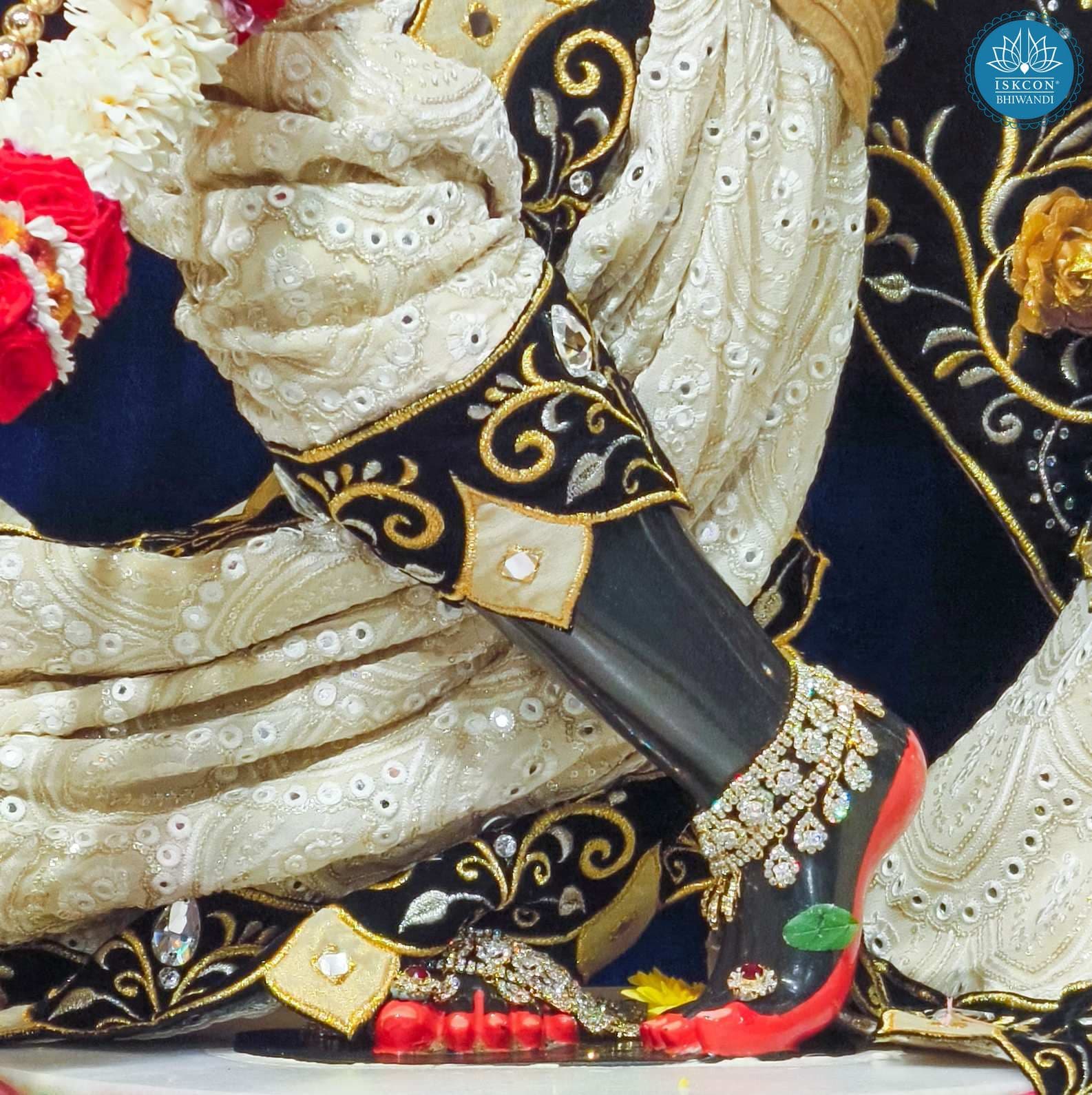 Sringar Darshan photo 9 of 12 — 18 January 2026