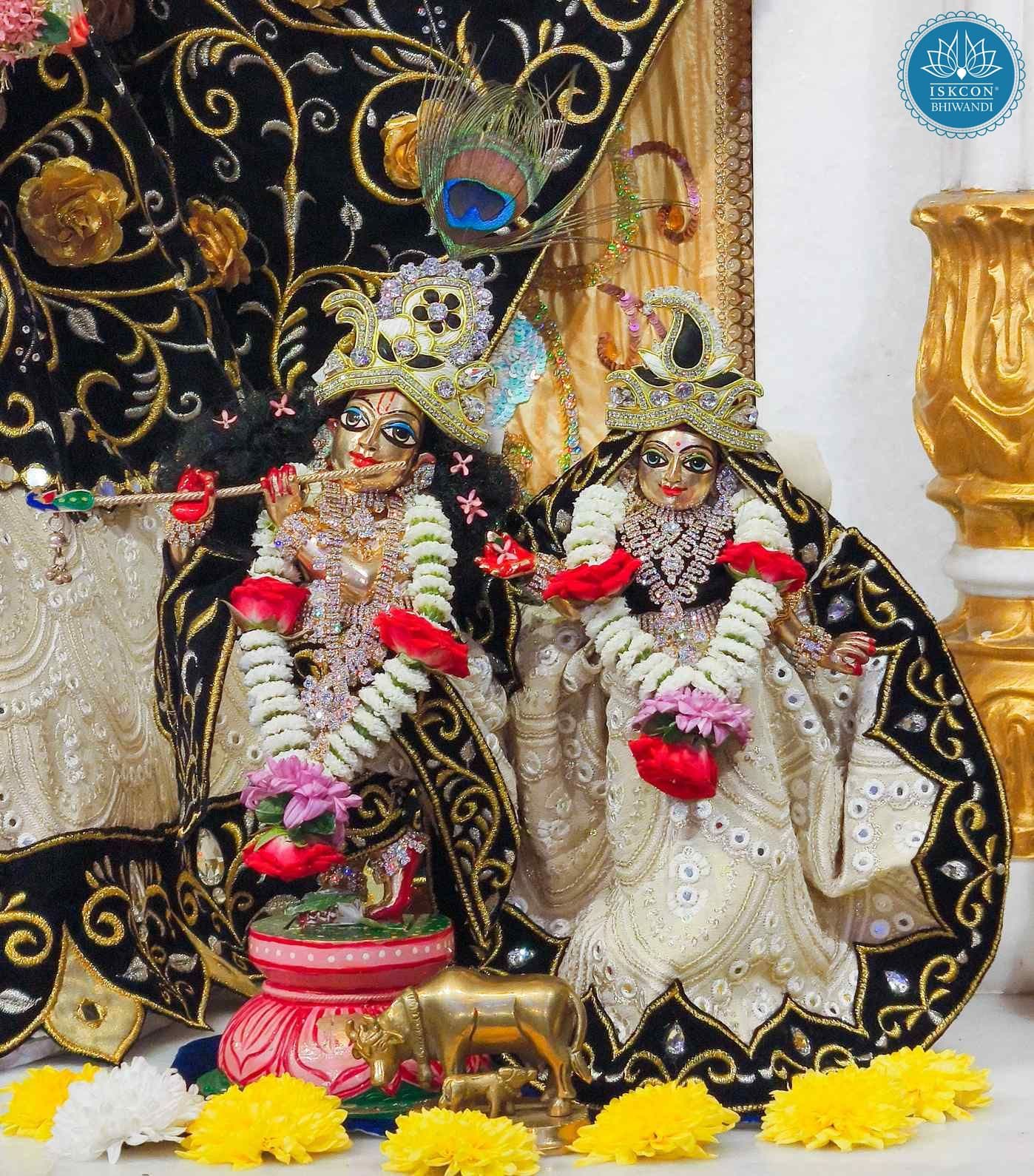Sringar Darshan photo 11 of 12 — 18 January 2026