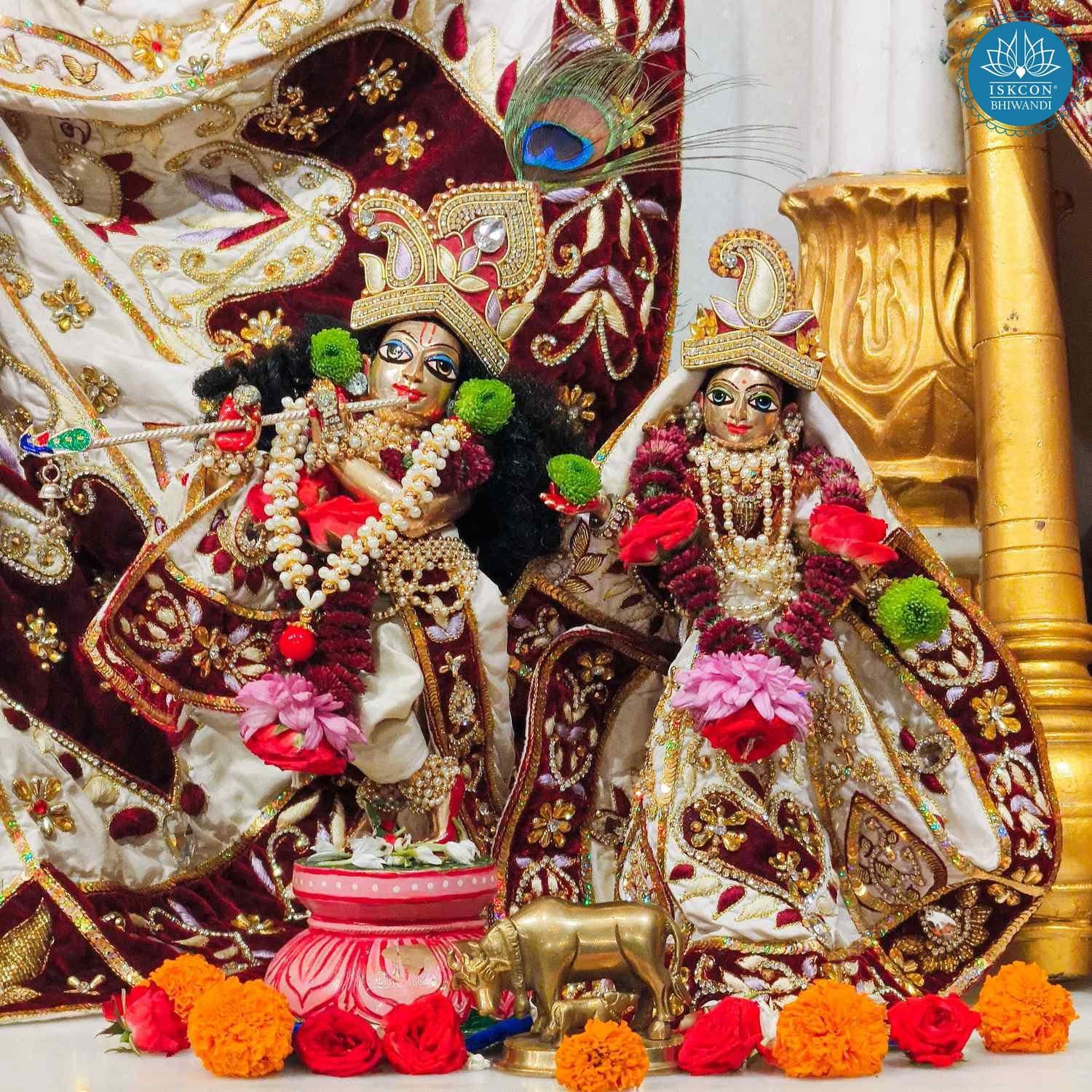 Sringar Darshan photo 9 of 12 — 19 January 2026