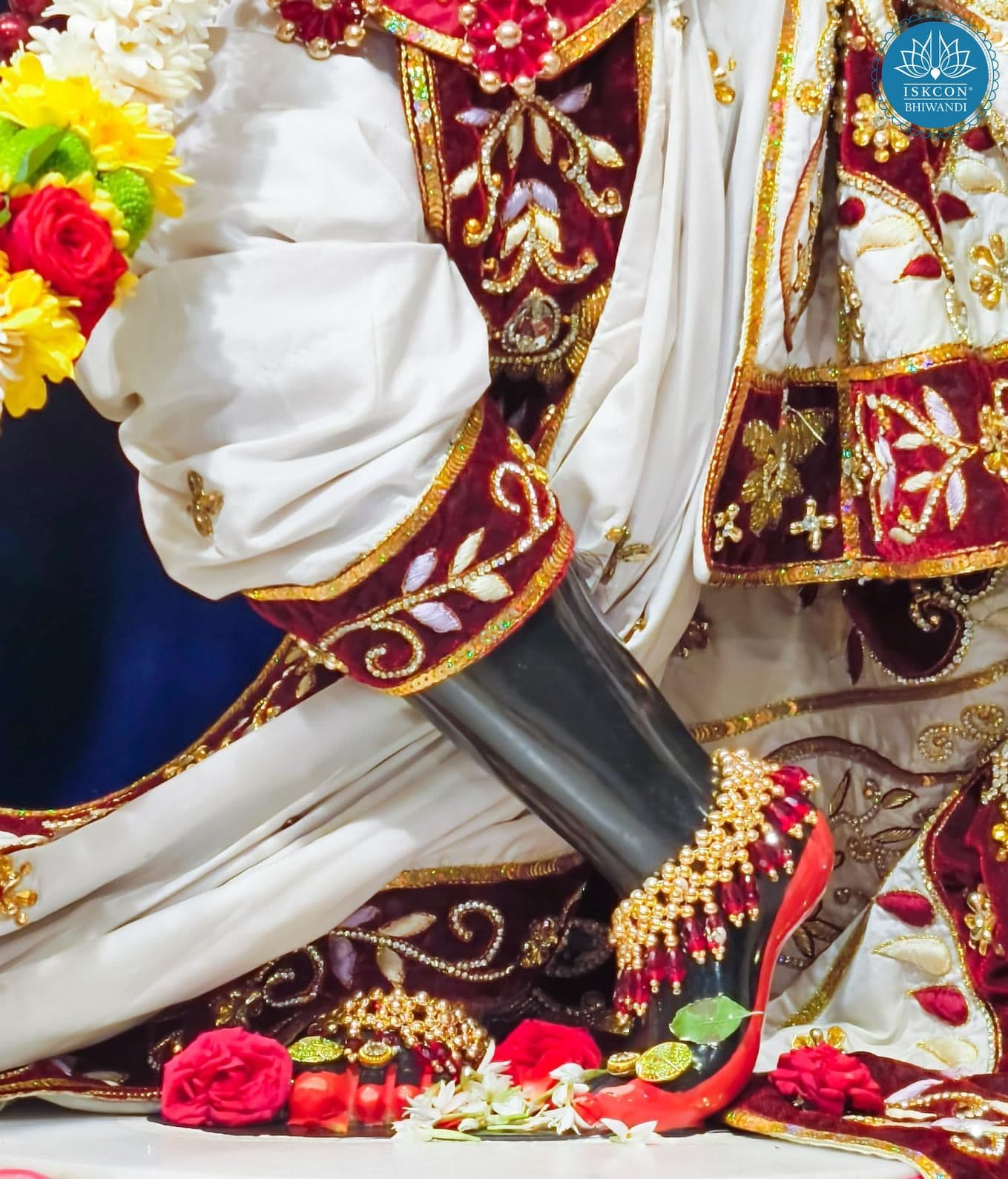 Sringar Darshan photo 12 of 12 — 19 January 2026