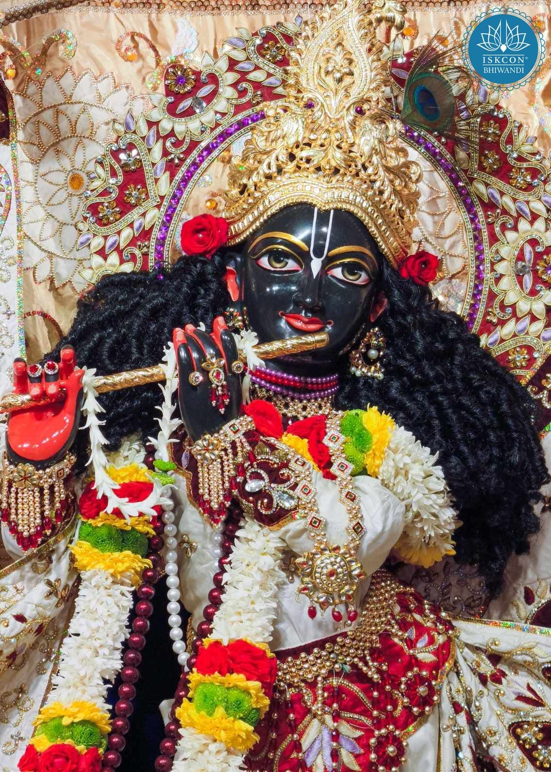 Sringar Darshan photo 11 of 12 — 19 January 2026