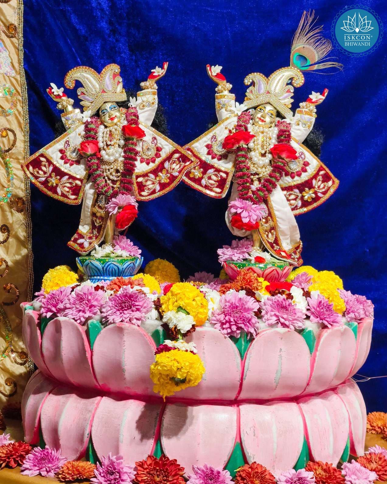 Sringar Darshan photo 6 of 12 — 19 January 2026