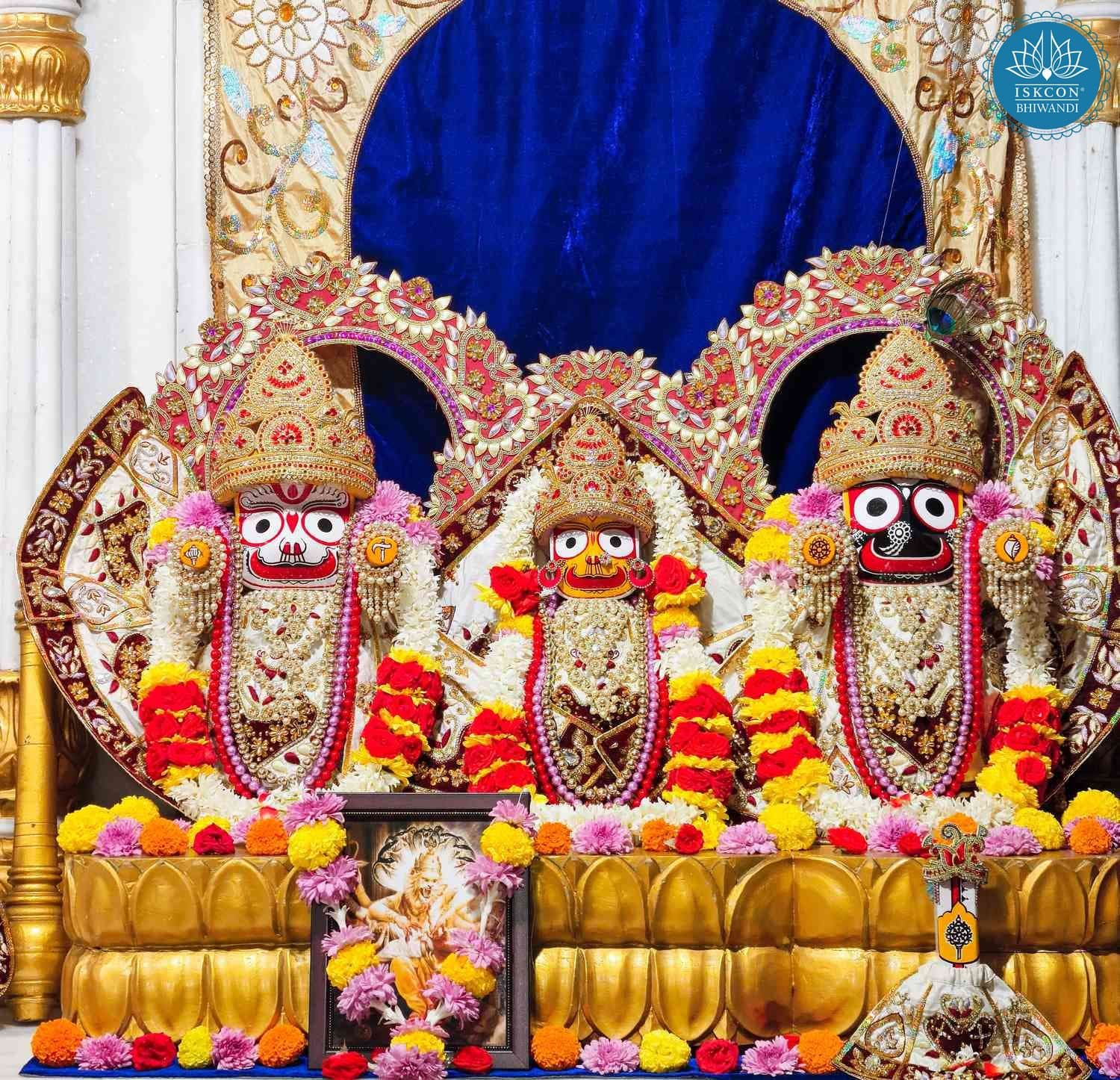 Sringar Darshan photo 2 of 12 — 19 January 2026