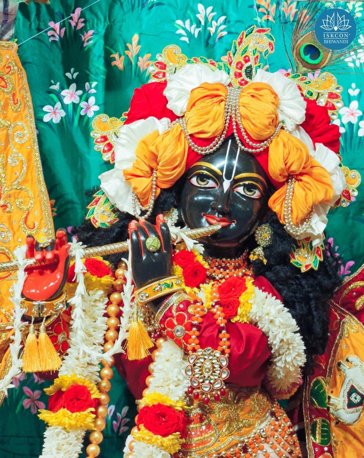 Sringar Darshan photo 11 of 12 — 20 January 2026