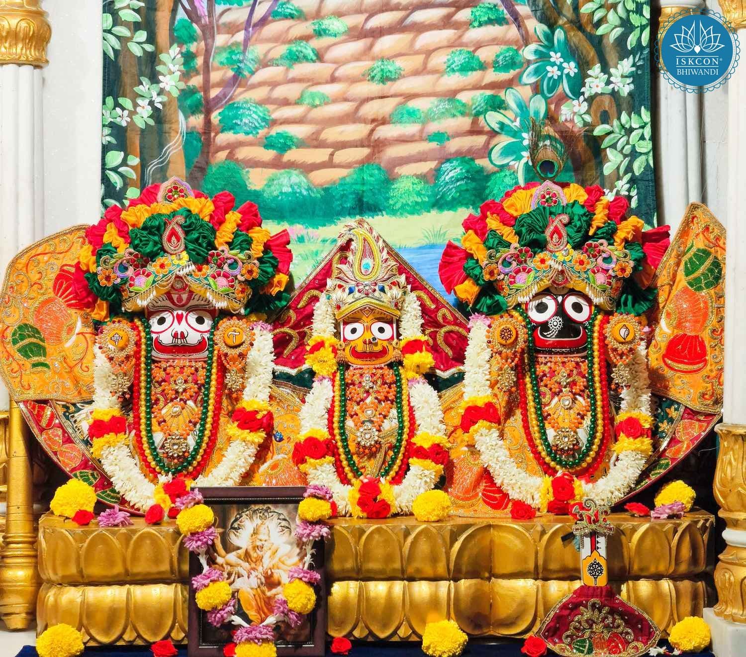 Sringar Darshan photo 2 of 12 — 20 January 2026