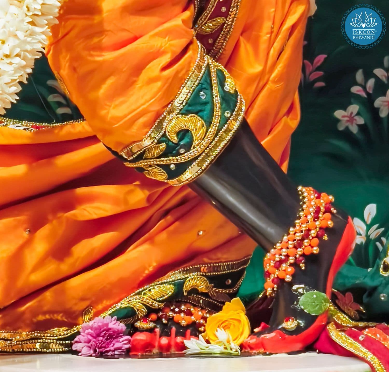 Sringar Darshan photo 8 of 12 — 20 January 2026