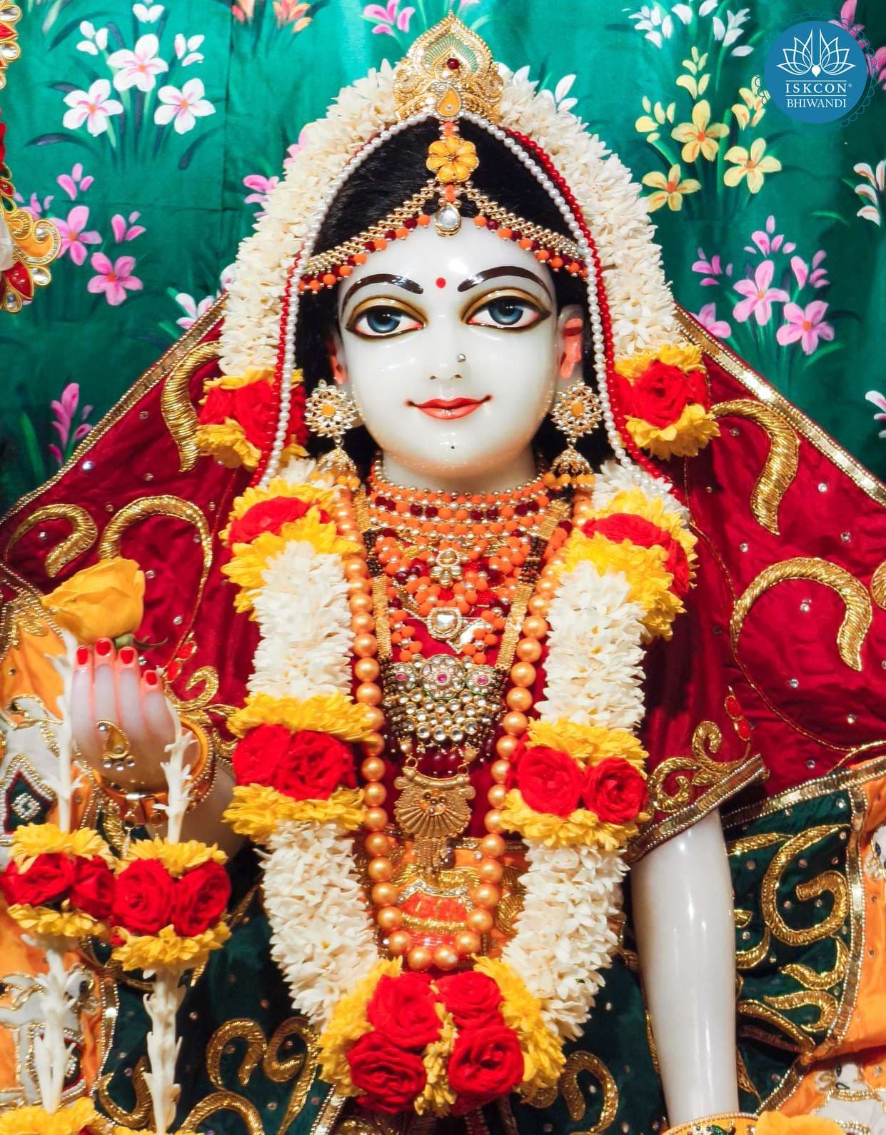 Sringar Darshan photo 12 of 12 — 20 January 2026