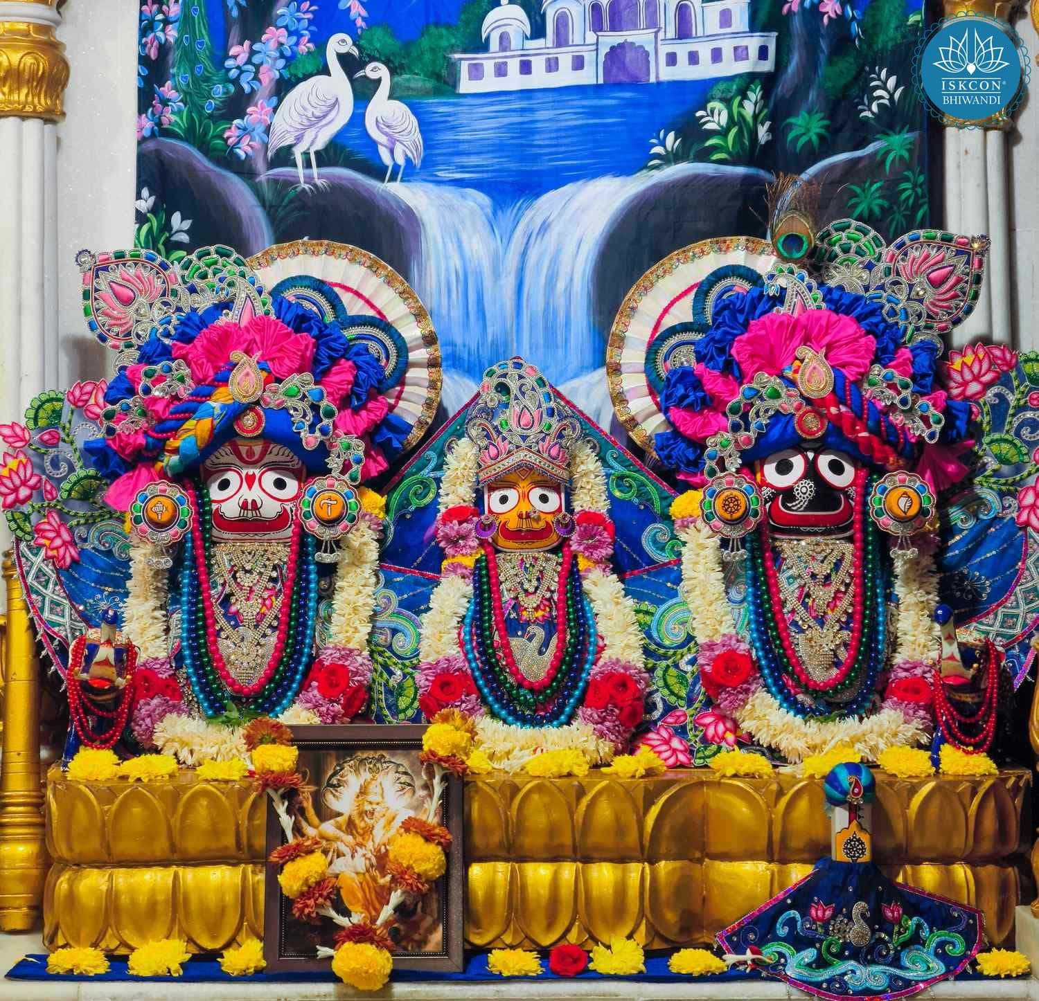 Sringar Darshan photo 2 of 12 — 21 January 2026