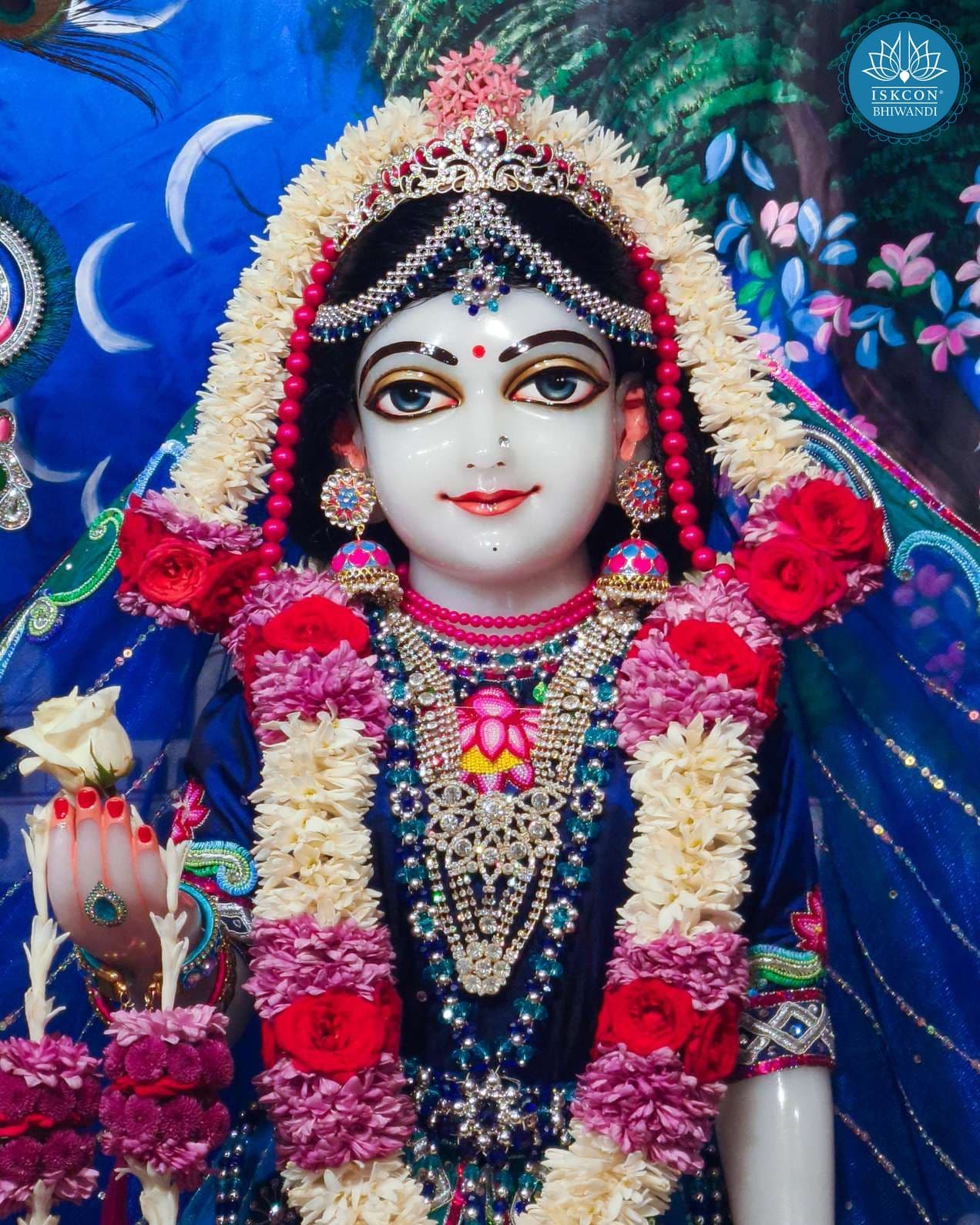 Sringar Darshan photo 12 of 12 — 21 January 2026