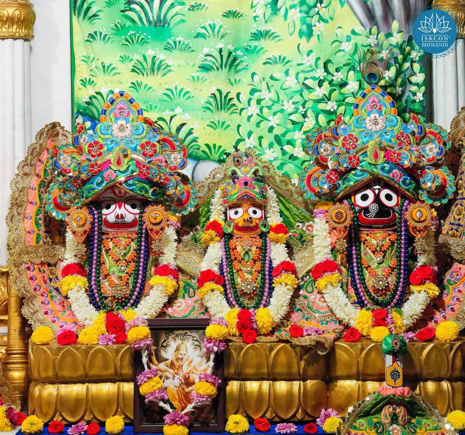 Sringar Darshan photo 2 of 12 — 22 January 2026