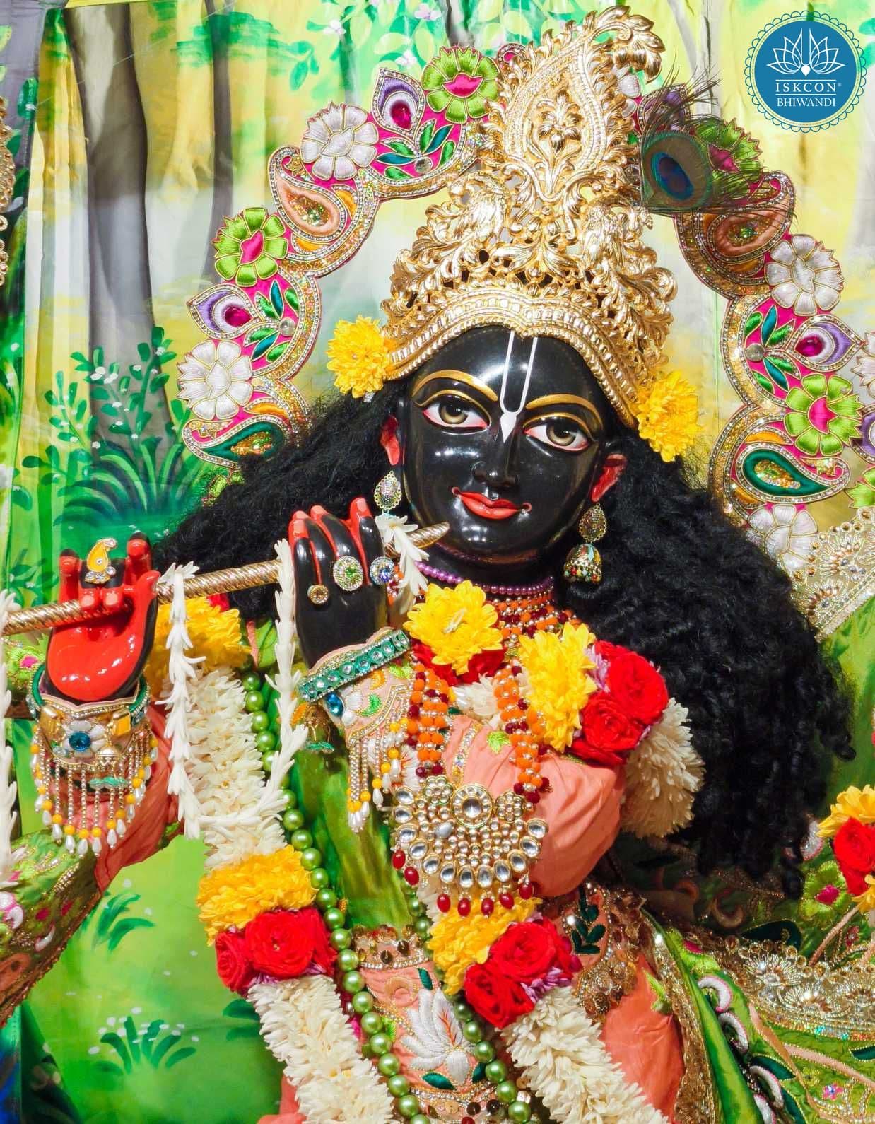 Sringar Darshan photo 12 of 12 — 22 January 2026