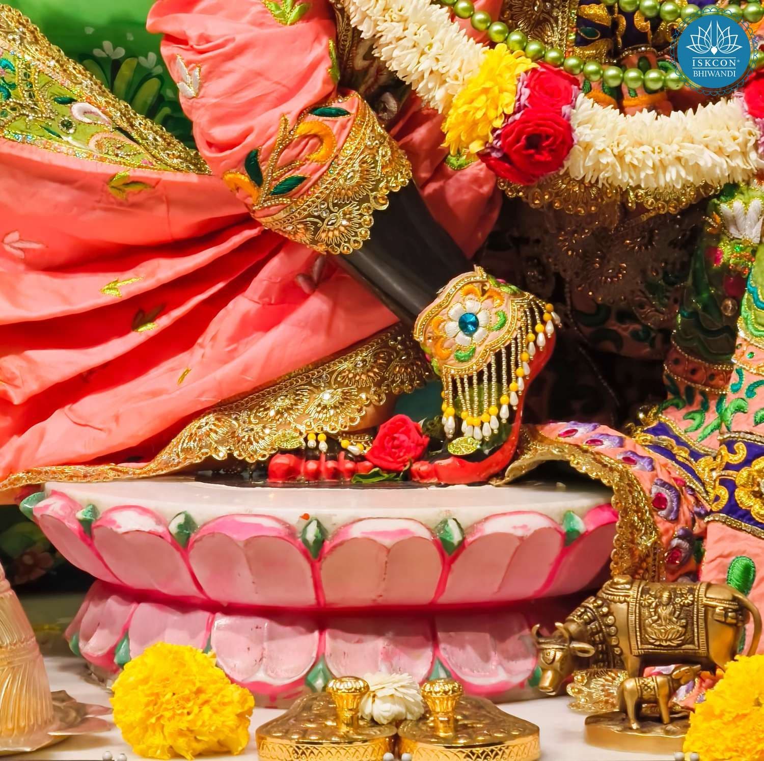 Sringar Darshan photo 11 of 12 — 22 January 2026