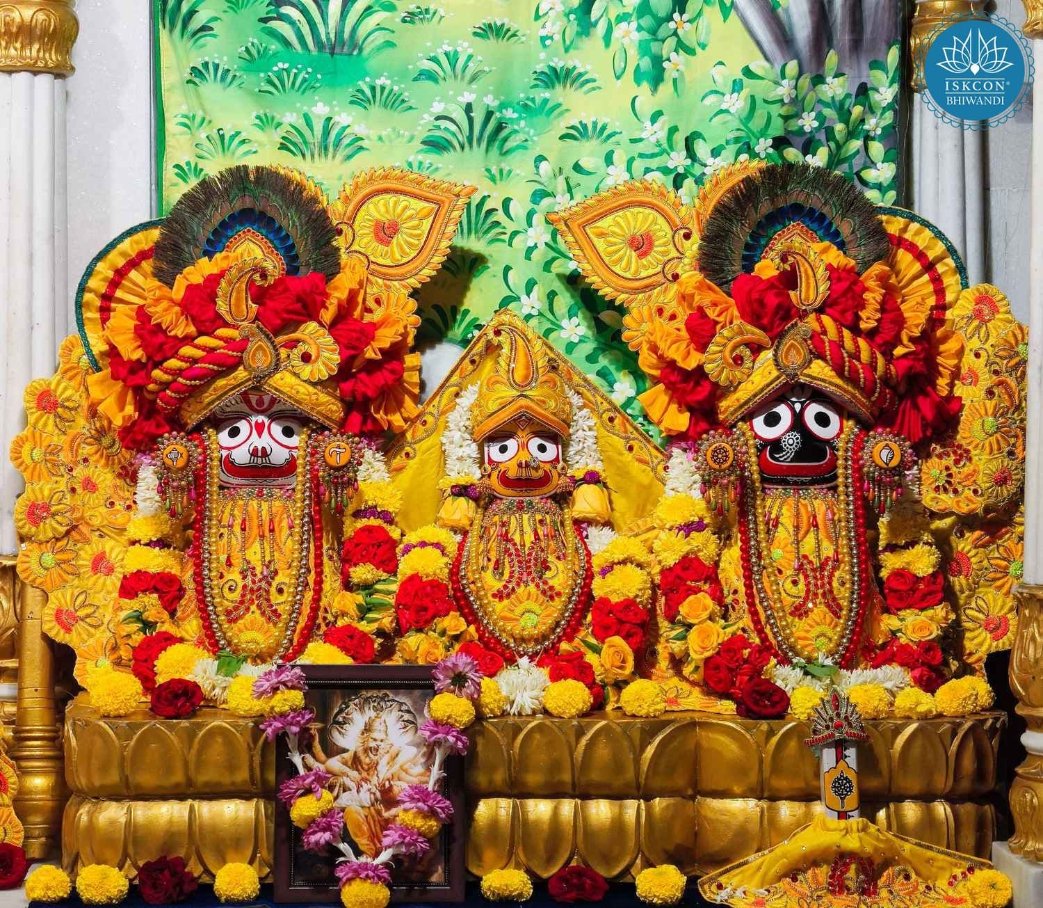Sringar Darshan photo 2 of 12 — 23 January 2026