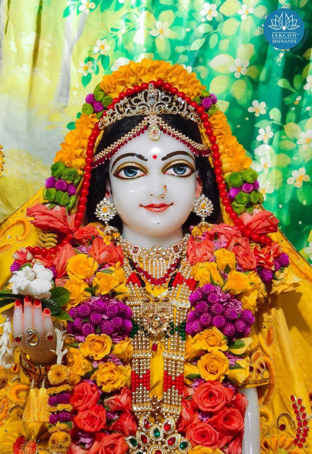 Sringar Darshan photo 12 of 12 — 23 January 2026