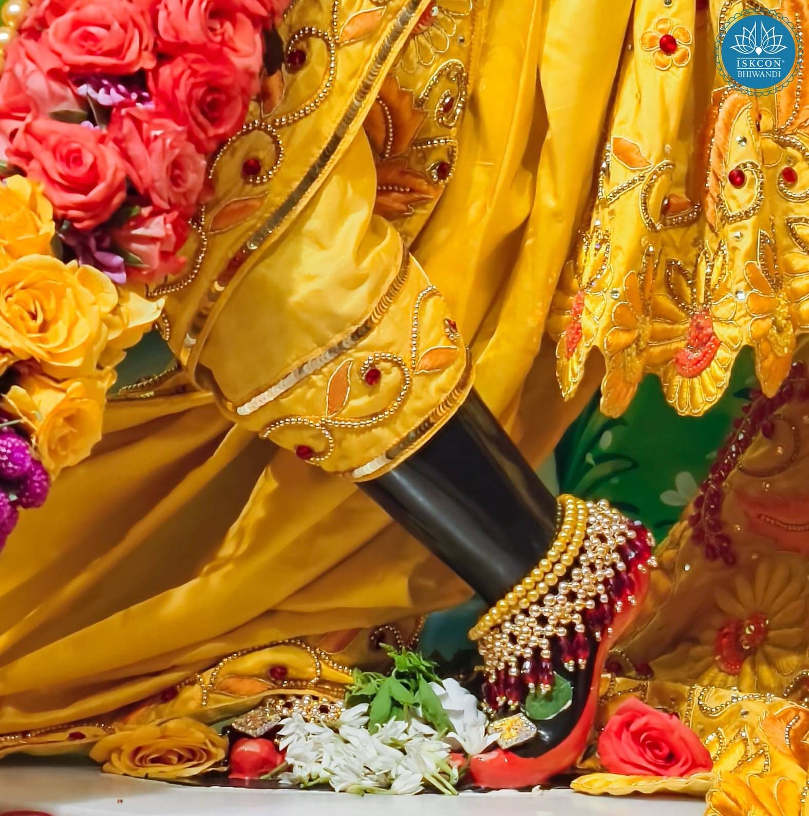 Sringar Darshan photo 11 of 12 — 23 January 2026
