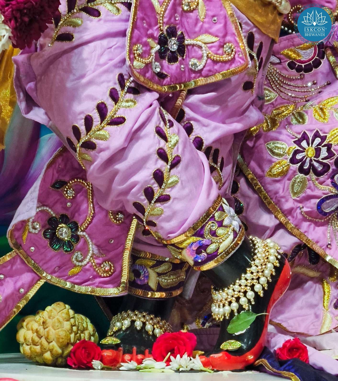 Sringar Darshan photo 12 of 12 — 24 January 2026