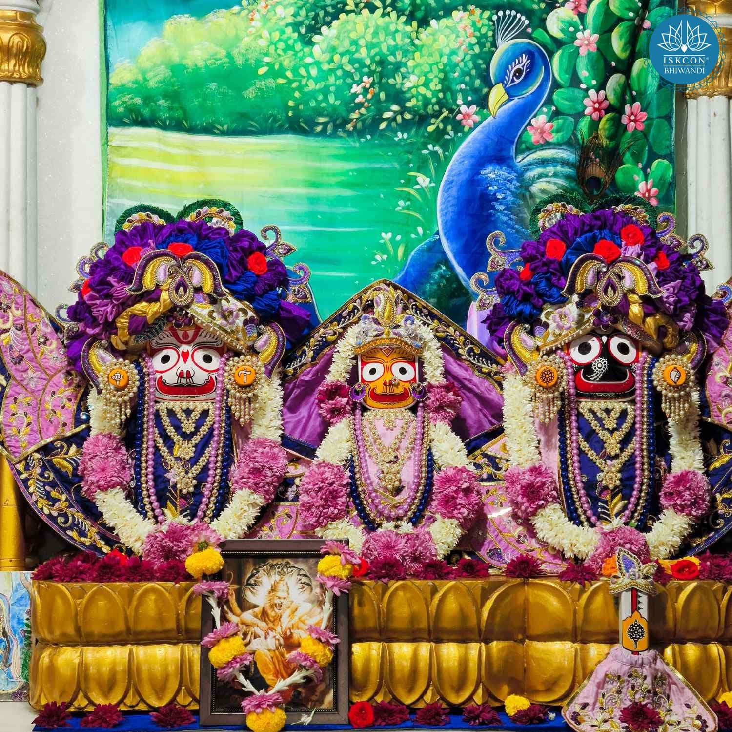 Sringar Darshan photo 2 of 12 — 24 January 2026
