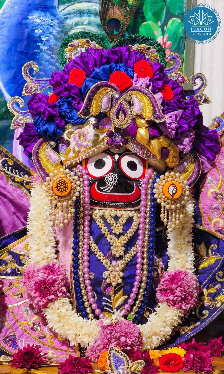 Sringar Darshan photo 5 of 12 — 24 January 2026