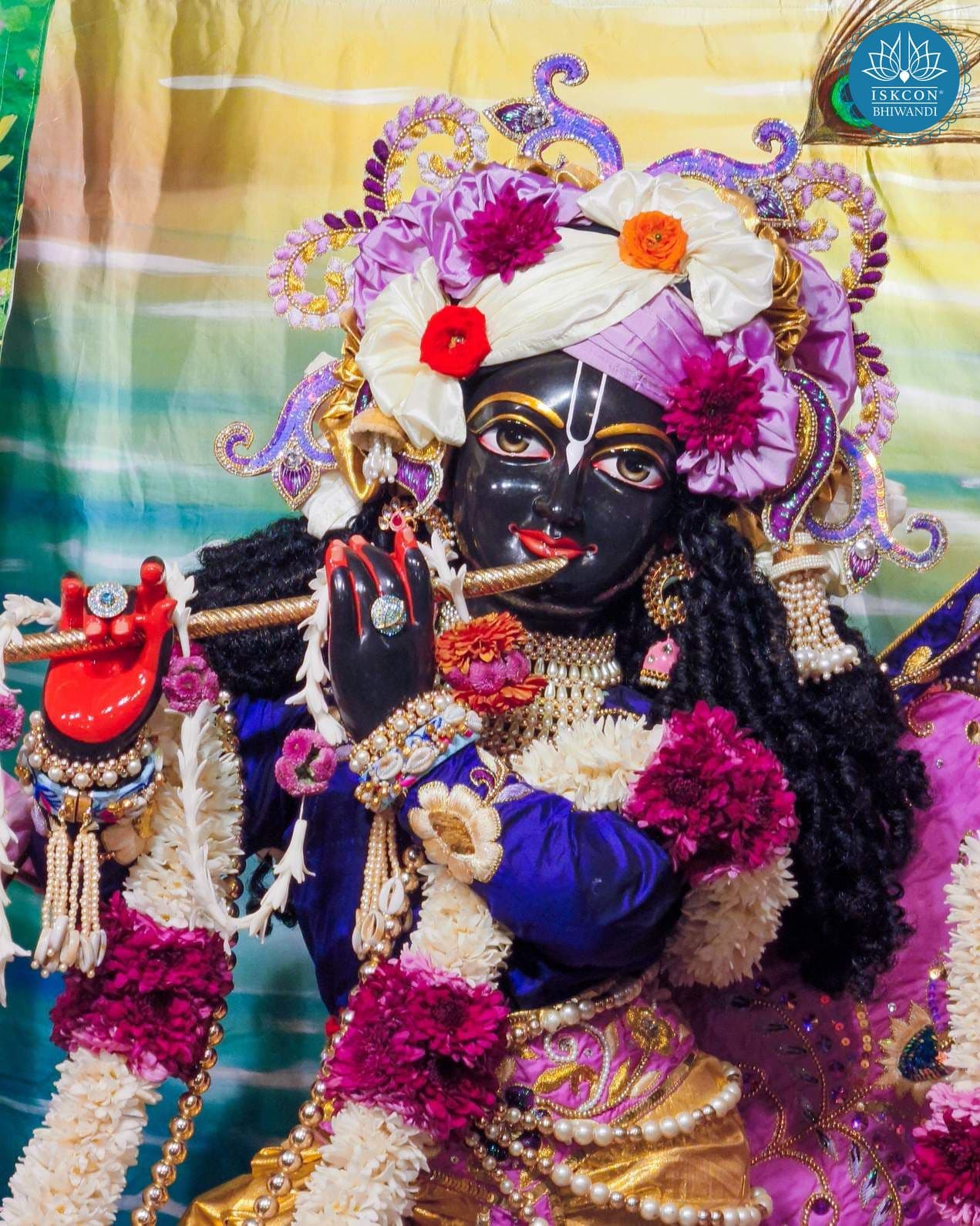 Sringar Darshan photo 11 of 12 — 24 January 2026