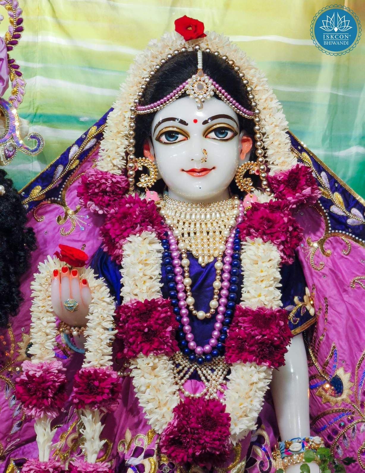 Sringar Darshan photo 10 of 12 — 24 January 2026