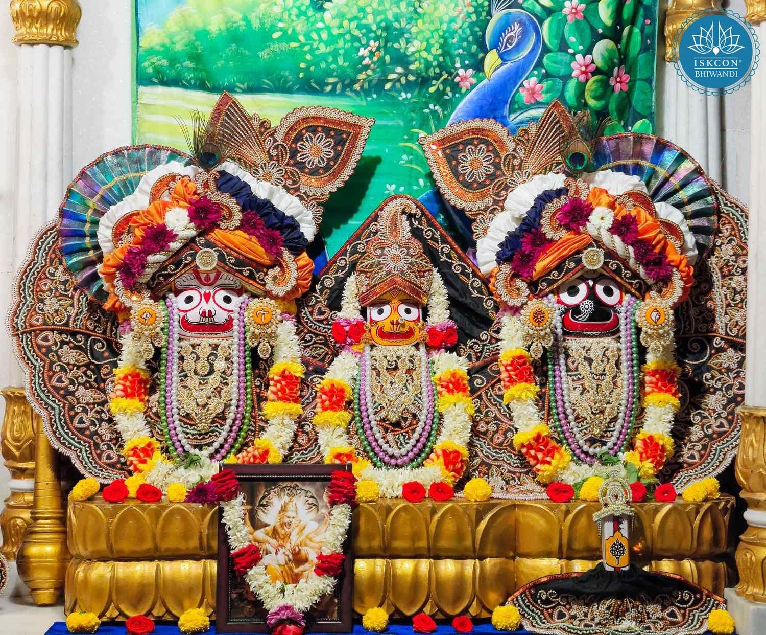 Sringar Darshan photo 2 of 12 — 25 January 2026
