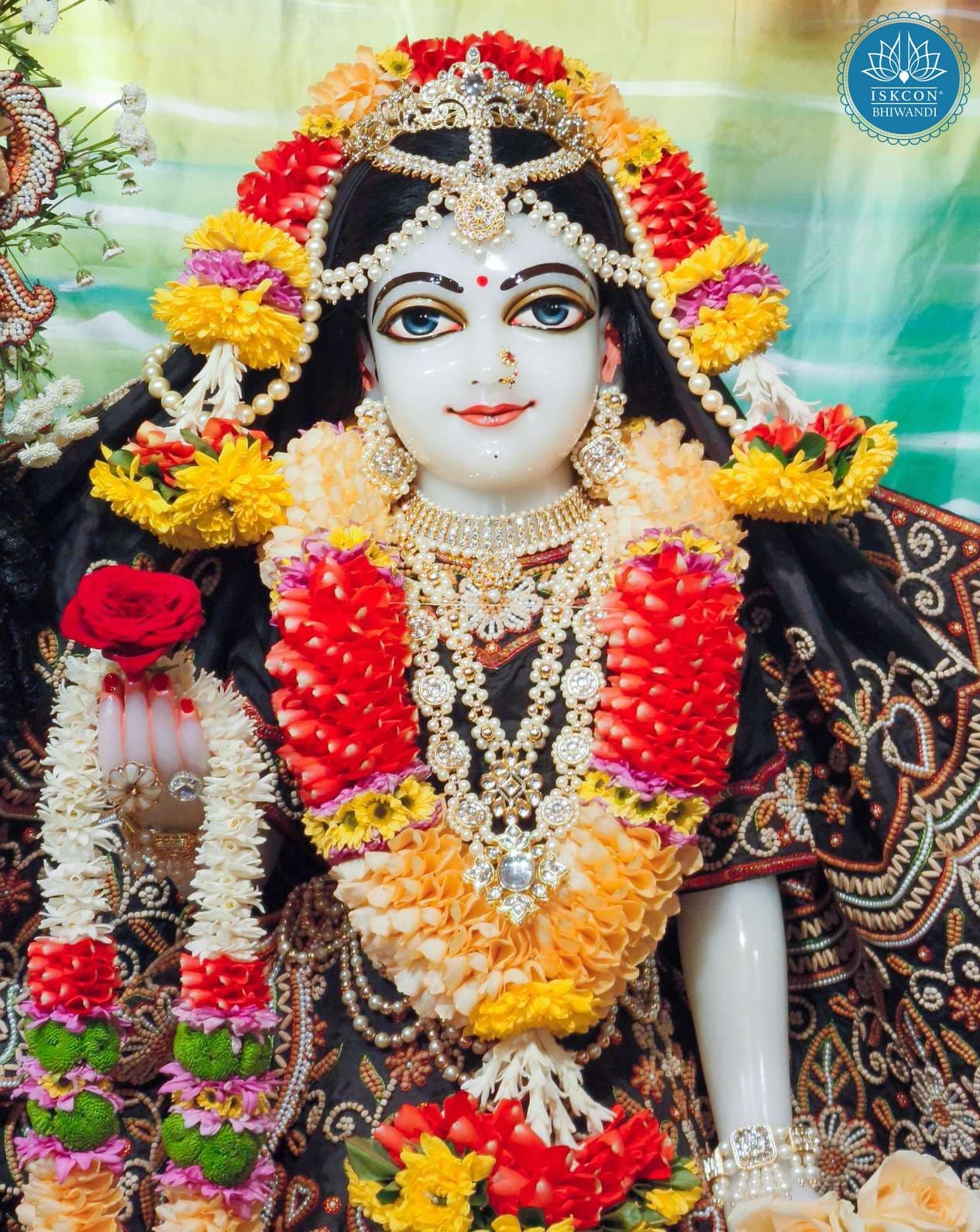 Sringar Darshan photo 12 of 12 — 25 January 2026