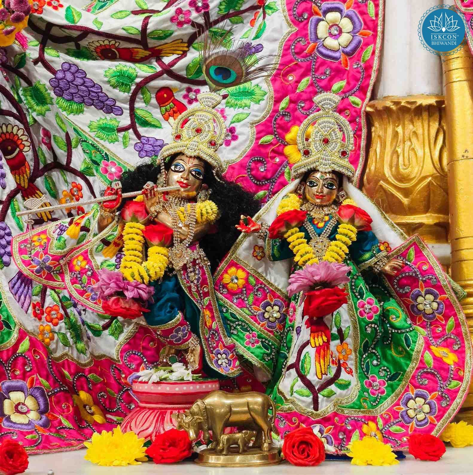 Sringar Darshan photo 8 of 12 — 26 January 2026