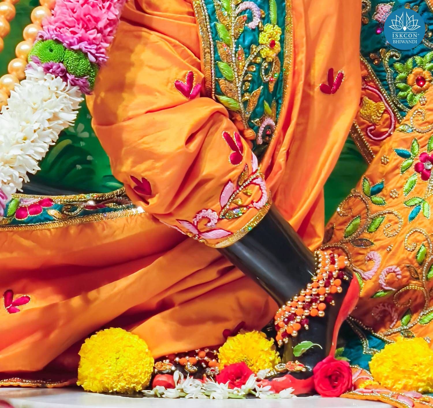 Sringar Darshan photo 11 of 12 — 27 January 2026