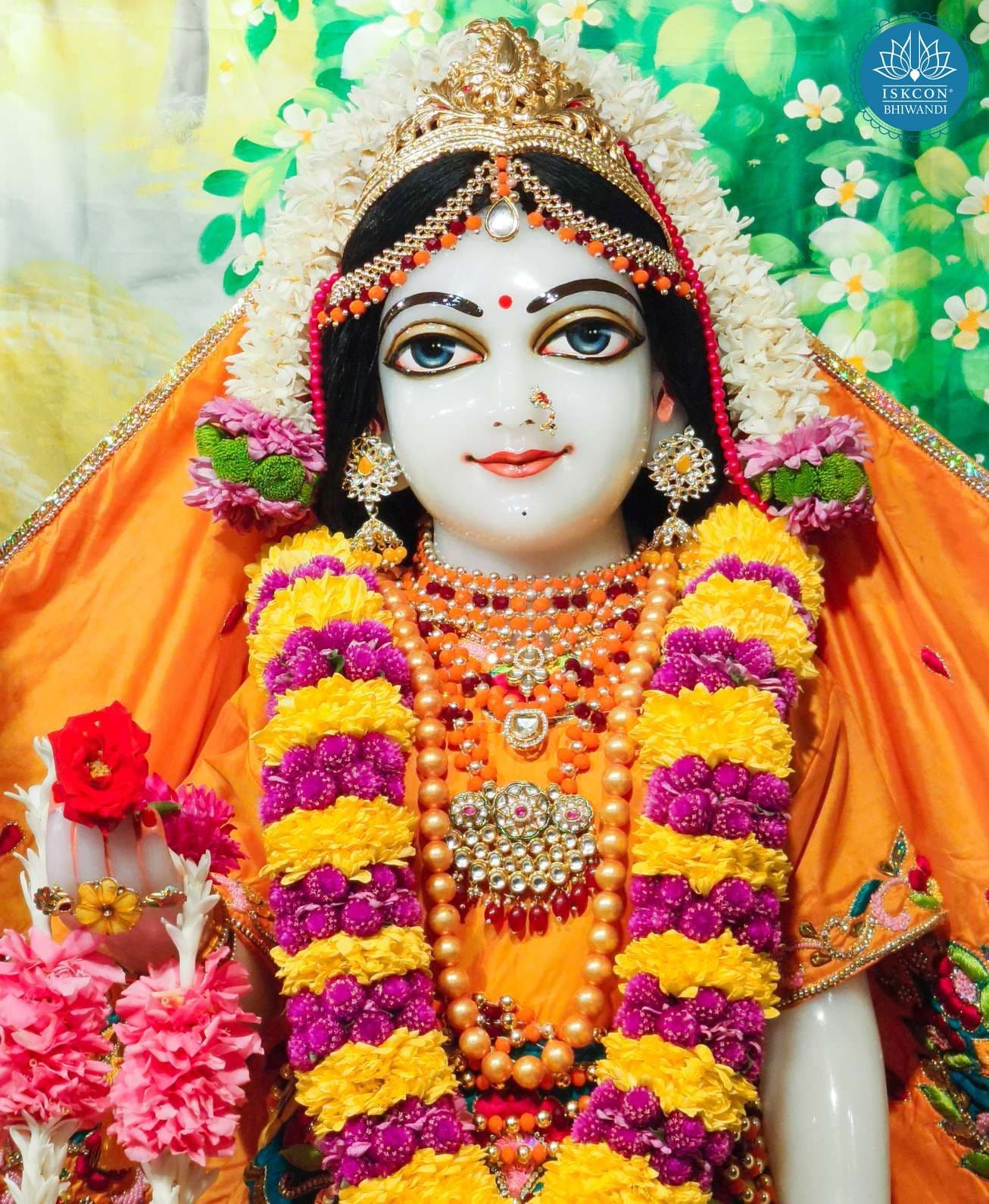 Sringar Darshan photo 12 of 12 — 27 January 2026