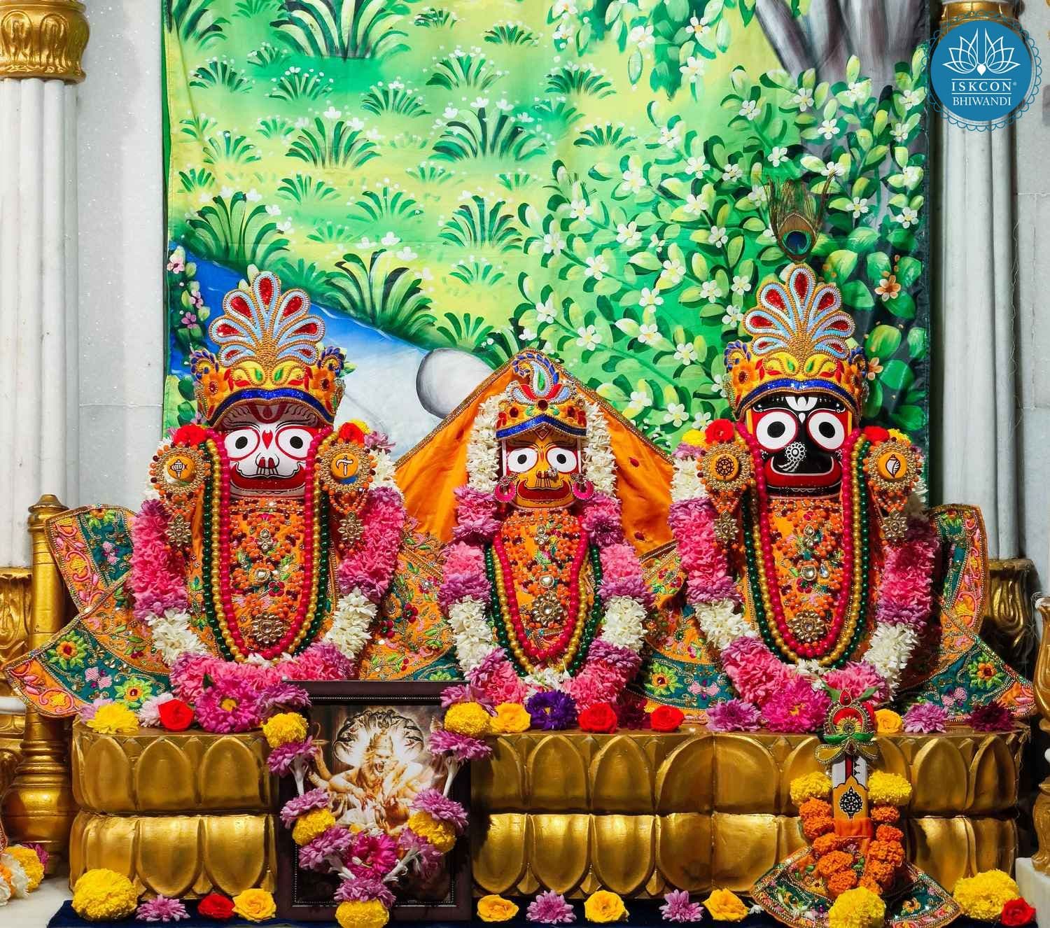 Sringar Darshan photo 2 of 12 — 27 January 2026