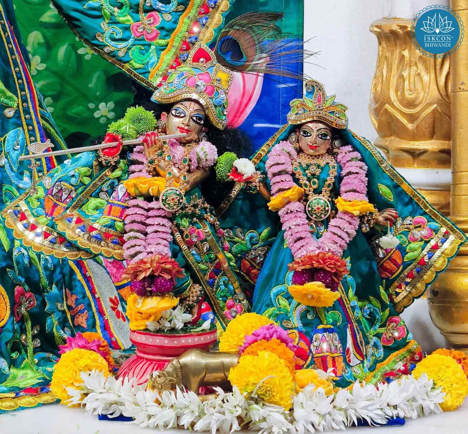 Sringar Darshan photo 8 of 12 — 28 January 2026